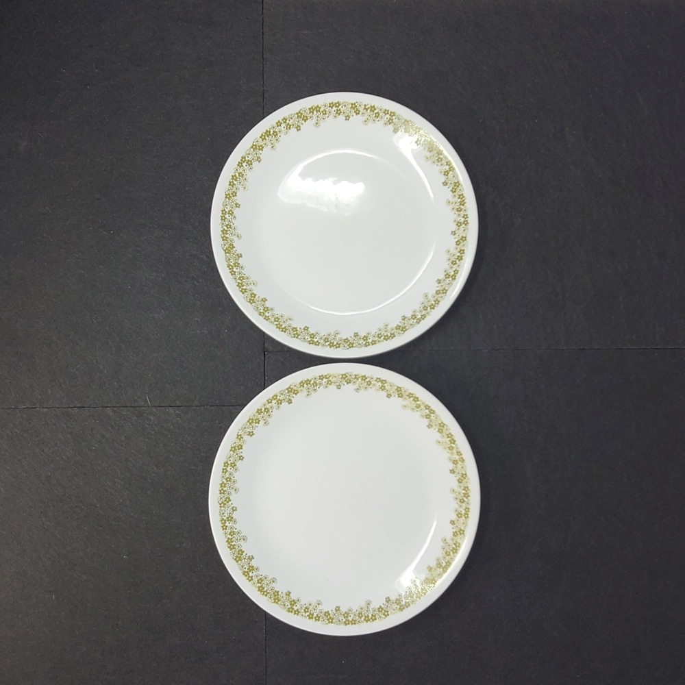 Corelle Spring Blossom Green Lunch Plates 8.5" Set of 2 Crazy Daisy White Good